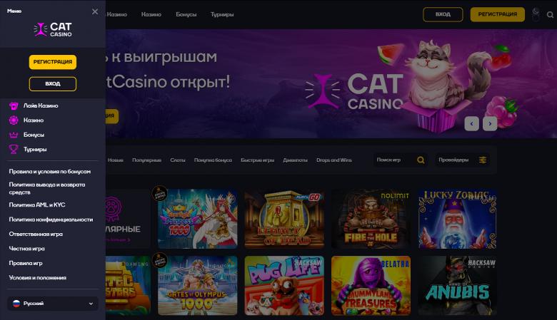 Навигация по сайту Казино Cat